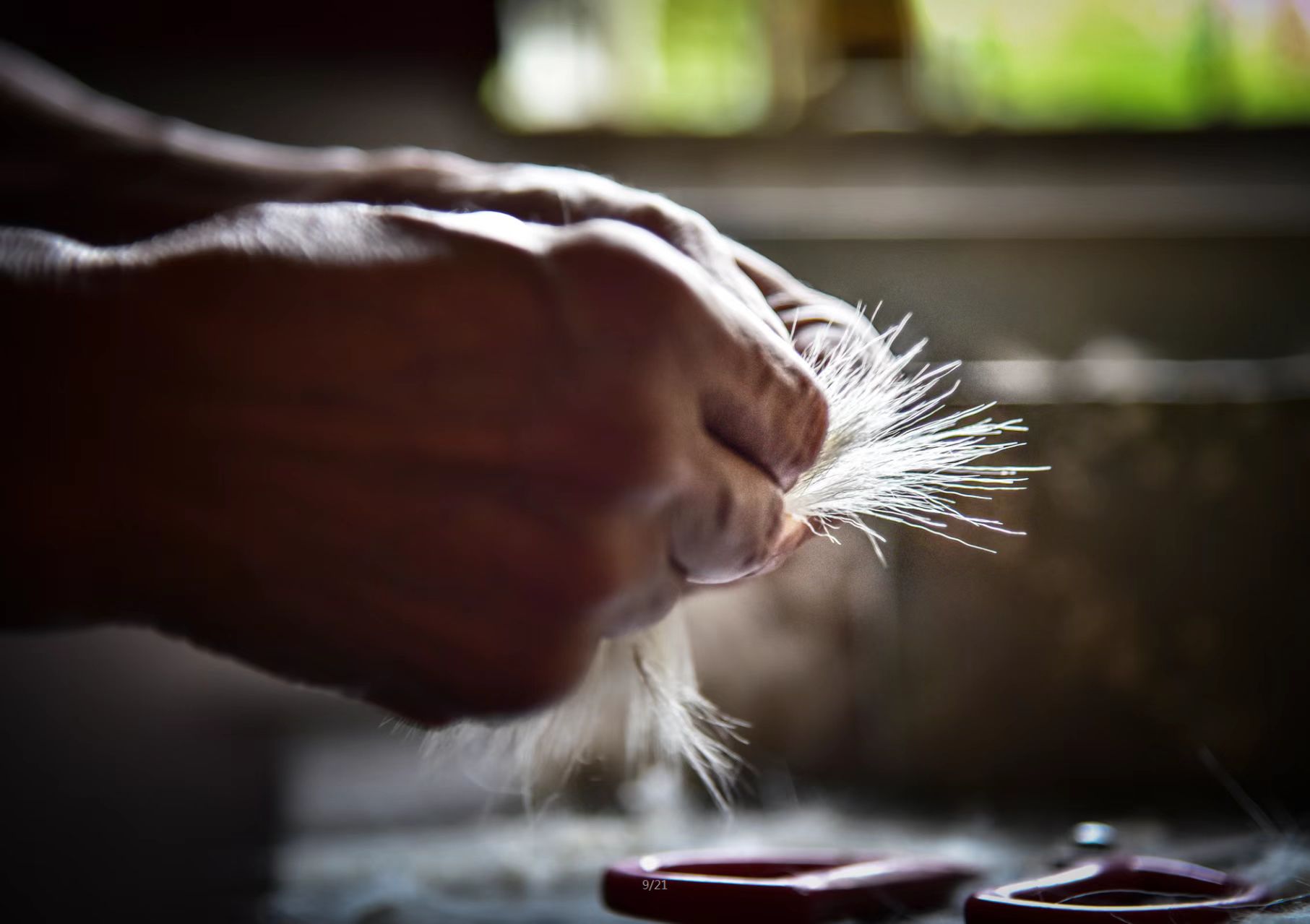 ff535d6cdcad0701c9fb2403b4e18d49 ff535d6cdcad0701c9fb2403b4e18d49