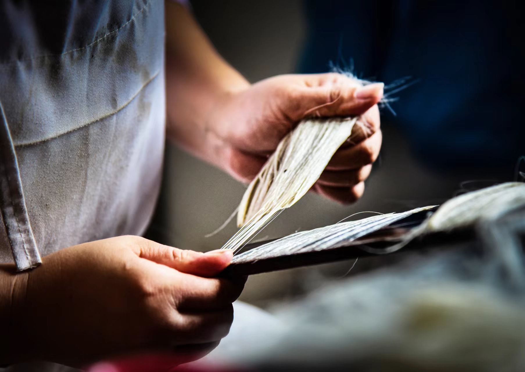 82047e3e98e2d74e37236794d74e01ca 82047e3e98e2d74e37236794d74e01ca