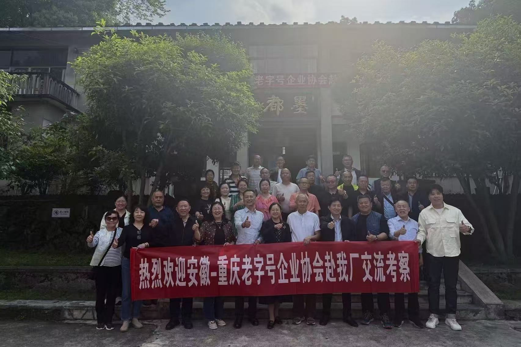 54bd8109661e4790a5accdd24c03eab6